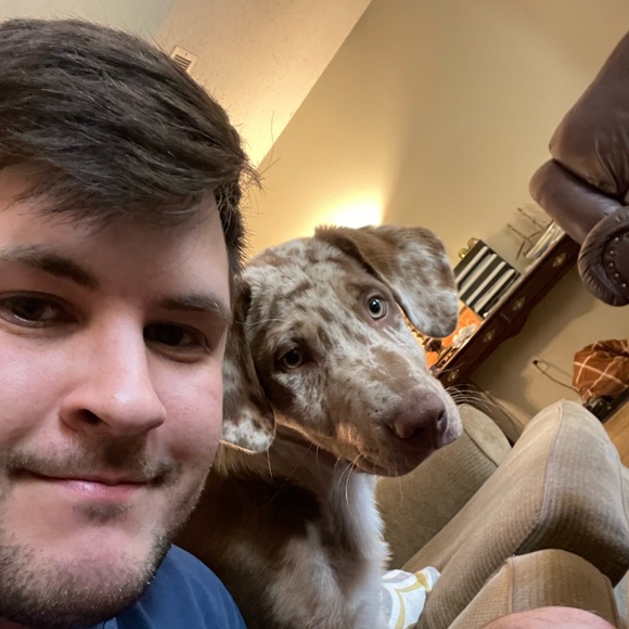 Meet your Posher, David - Picture 1 of 1